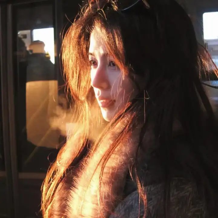 使君有妇