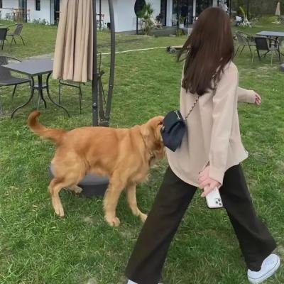 小塔历险记之记忆森林